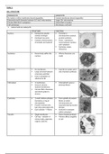 Biology Edexcel A full notes (SNAB) topics 1-8
