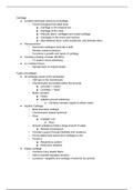 Chapter 6 - Bones and Skeletal Tissue Lecture Notes