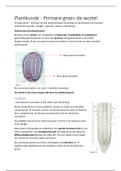 Complete samenvatting plantkunde - primaire groei wortel, stengel en blad (1036FBDFAR)