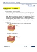 NR283 Worksheet 2.(Graded A+) LATEST UPDATE