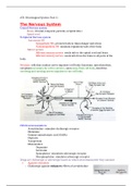 ATI NUR 2407 ATI: Neurological System (Part 1)  The Nervous System