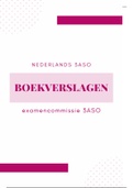 Samenvatting boeken lectuuropdracht Nederlands 3ASO 2021
