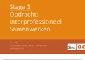 Cijfer: 9,0 Stage-opdracht Interprofessioneel Samenwerken (IPS) - Hogeschool van Amsterdam (HvA) -  Verpleegkunde (HBO-V) studiejaar 1