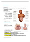Samenvatting  Blok  1.2: het gastro-intestinaalstelsel 