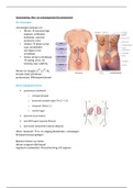 Samenvatting  Blok  1.2: nier & urinewegstelsel 