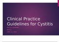 NR 511  Clinical Practice Guidelines for Cystitis GRADED A VERIFIED 