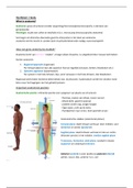 Samenvatting anatomie decentrale selectie geneeskunde Utrecht 2021