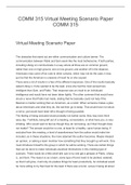 BUS 303   Virtual Meeting Scenario Paper