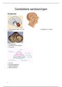 Samenvatting: Cerebellaire aandoeningen
