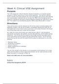 NR 601 Week 4 Clinical VISE Assignment &lpar;Collection&rpar;