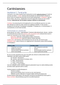 Complete samenvatting Cari&euml;slaesies Cariologie Jaar 2