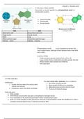 Nucleic Acids - A-Level Biology notes