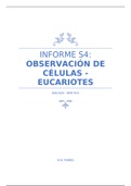 Presentación Medicina Humana (Biología Practica)- OBSERVACIÓN DE CÉLULAS - EUCARIOTES