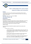 NR 533 Financial Management in Healthcare Organizations Week 4: Staffing Budgets/FTEs/ Variance Analysis Assignment Guidelines with Scoring Rubric.