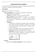 Lote laboratio y teor&iacute;a BIOQUIMICA