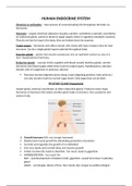 Human Endocrine System notes - IEB syllabus