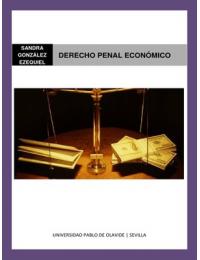 Apuntes Derecho Penal Económico Completos