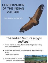 Conservation of the Indian Vulture