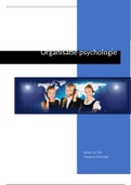 paper Organisatiepyschologie inclusief beoordeling 
