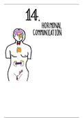 hormonal communication in mammals 