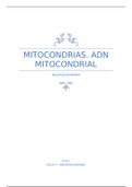 Presentación Medicina Humana (Biología Seminario)- MITOCONDRIAS Y ADN MITOCONDRIAL
