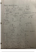 Organic Chemistry Notes: Aldehydes and Ketones