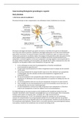 Samenvatting biologische grondslagen&colon; cognitie