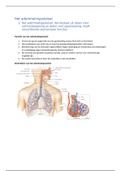Het ademhalingsstelsel 