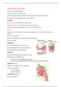 samenvatting anatomie en fysiologie niveu 4: Ademhaling
