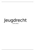 Jeugdrecht by Annemie Borms 