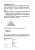 Uses and gratifications theory Nederlands