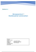 Beroepsproduct Multidisciplinair Samenwerken OWE 9&sol;10 SIV