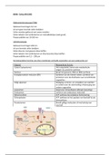 Celbiologie samenvatting/Molecular biology of the cell summary