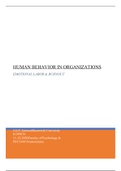 Individual assignment Human Behavior in Organizations 
