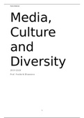 BSc Social Sciences - Media, Culture and Diversity - Year 2 Summary