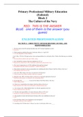 Primary Professional Military Education (Enlisted) Block 2 The Culture of the Navy