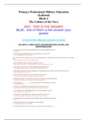 Primary Professional Military Education &lpar;Enlisted&rpar; Block 2 The Culture of the Navy