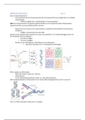 Uitgebreide samenvatting 13 lessen Medische Genetica 1