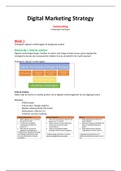 Samenvatting Digital Marketing Strategy &sol; kennisclips&sol; reader