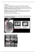 Leerdoelen radiologie thema 1.11