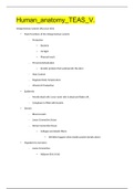 Human&lowbar;anatomy&lowbar;TEAS&lowbar;V&period; &vert;ALREADY GRADED A