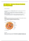 ATI TEAS 6 - Science (Human Anatomy and Physiology)