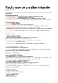 KORTE SAMENVATTING  Recht voor de creative industrie &lpar;HOORCOLLEGES &plus; BOEK&rpar;