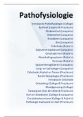 Complete Pathofysiologie Samenvatting (Colleges + Practica + Junqueira + Rubin's)