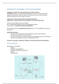 Anatomie & fysiologie: H10 hormoonstelsel