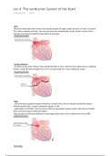 CVS cardiovascular system Lec 1-4