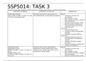 Summary table of traditional set and rep schemes, explanation, and adaptations