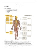 Anatomie A Samenvatting en PowerPoint