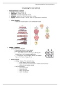 NUR 315 Pathophysiology Final Exam Study Guide