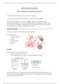 Hoofdstuk 7 - Respiratory System and its Regulation